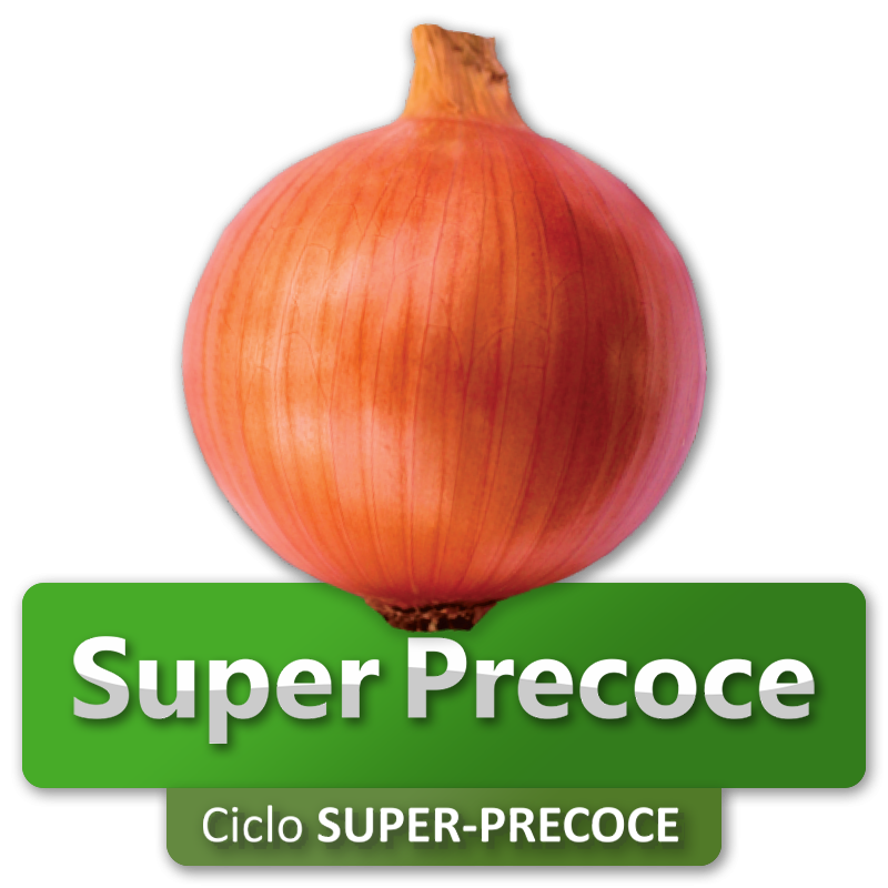 SUPER PRECOCE - Ciclo Super-Precoce