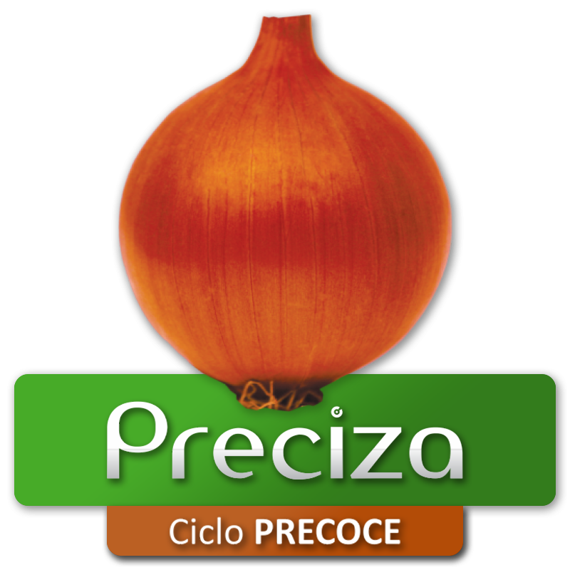 PRECIZA - Ciclo Precoce