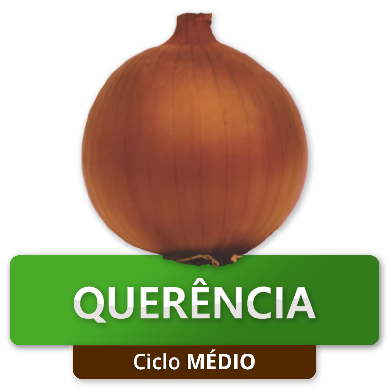 QUERÊNCIA - Ciclo Médio