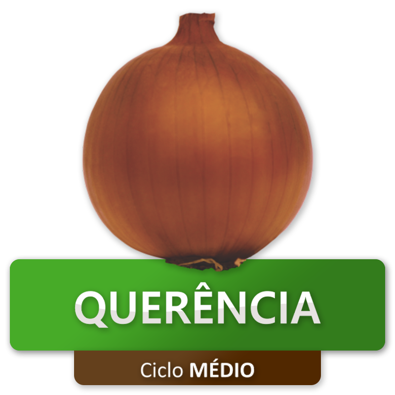 QUERÊNCIA - Ciclo Médio