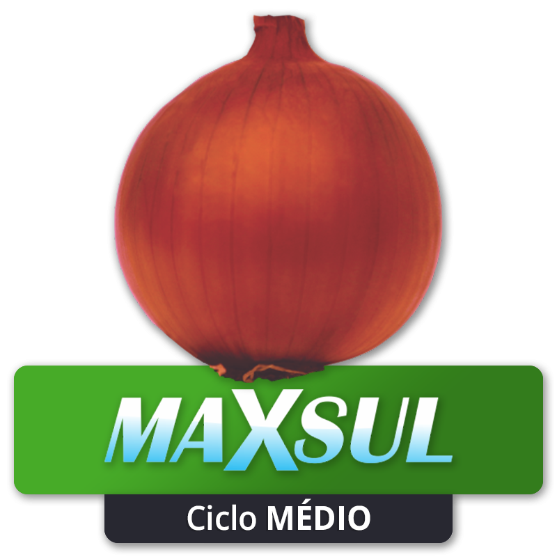 MAXSUL - Ciclo Médio