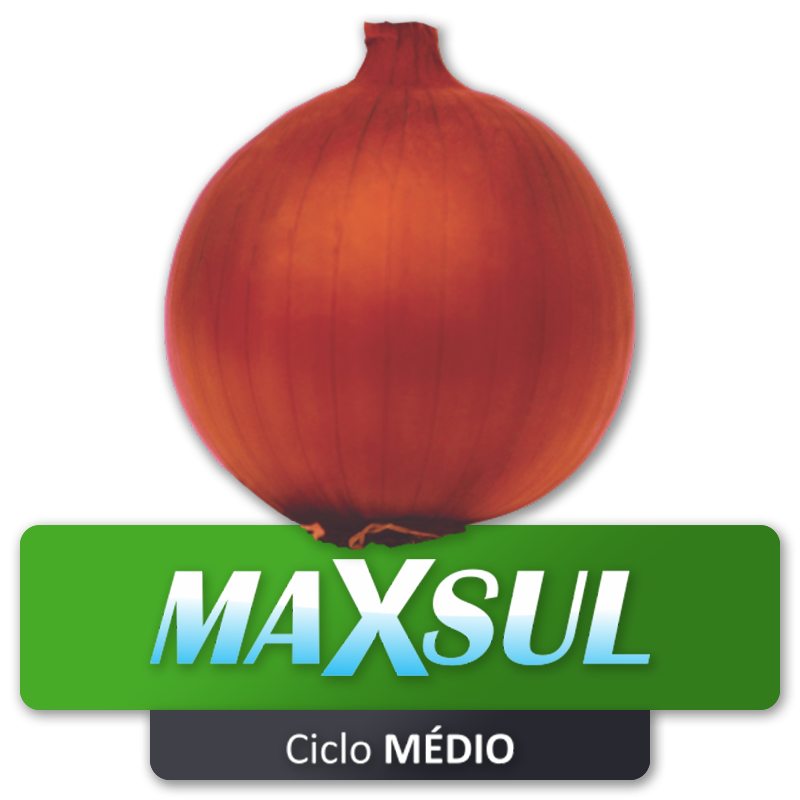 MAXSUL - Ciclo Médio