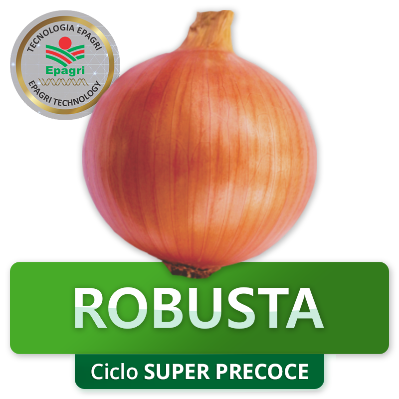 ROBUSTA - Ciclo Super-Precoce