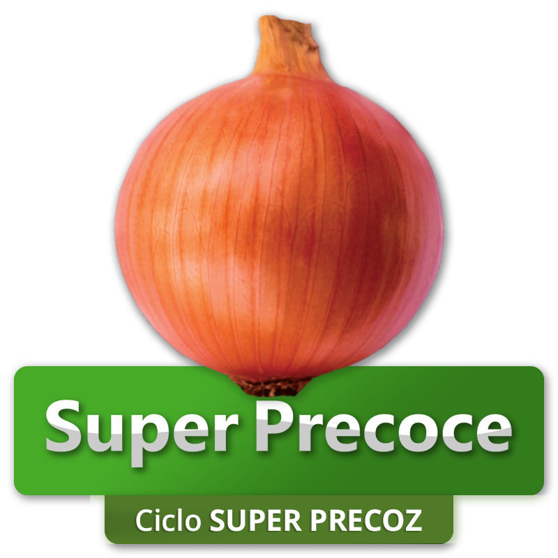 SUPER PRECOZ - Ciclo Superprecoz